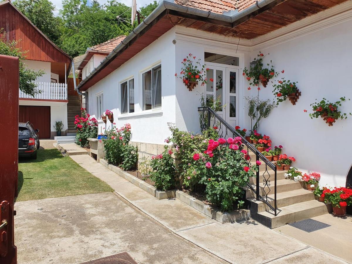 Bed and Breakfast Rozsa Panzio Rimetea Esterno foto