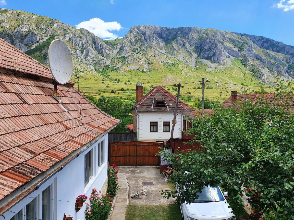 Bed and Breakfast Rozsa Panzio Rimetea Esterno foto