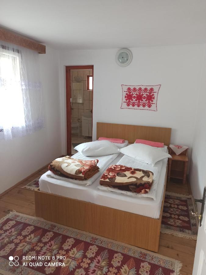Bed and Breakfast Rozsa Panzio Rimetea Esterno foto
