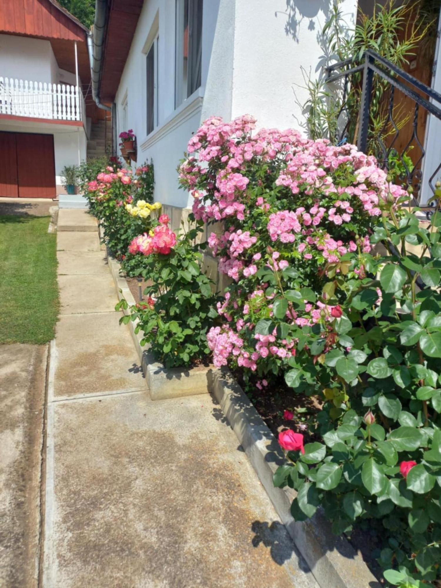 Bed and Breakfast Rozsa Panzio Rimetea Esterno foto