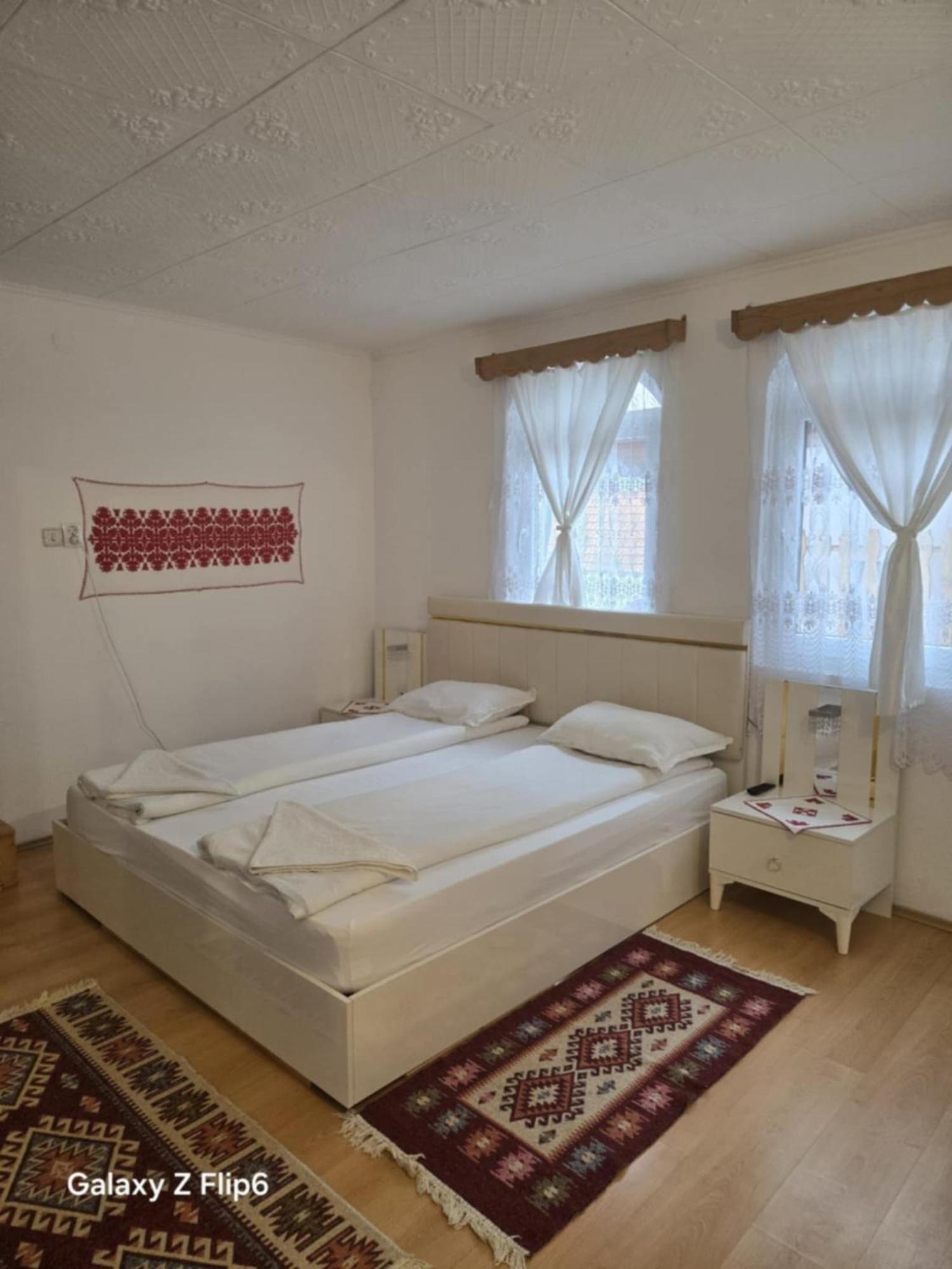 Bed and Breakfast Rozsa Panzio Rimetea Esterno foto